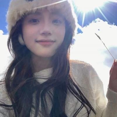 哈莱姆的郁金香