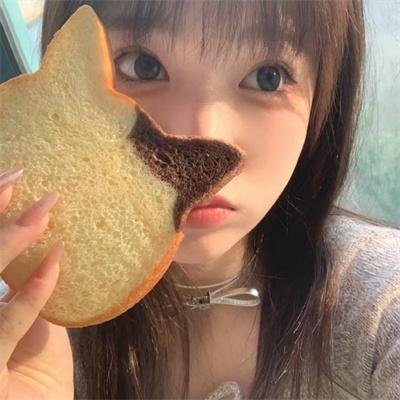 少女骑士物语