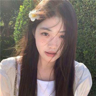 全知读者视角